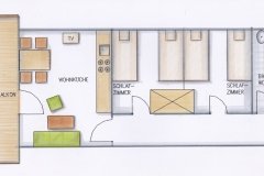 Grundriss-Zirbelkiefer