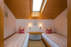 FEWO Melf Zirbelkiefer